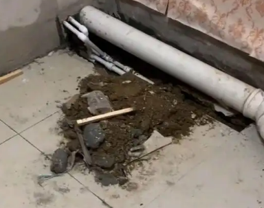 那坡卫生间漏水检测哪家好